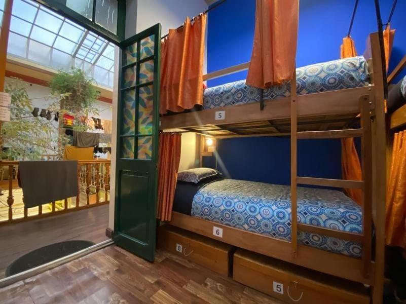 Saint Peter'S Llama Hostal La Paz Esterno foto