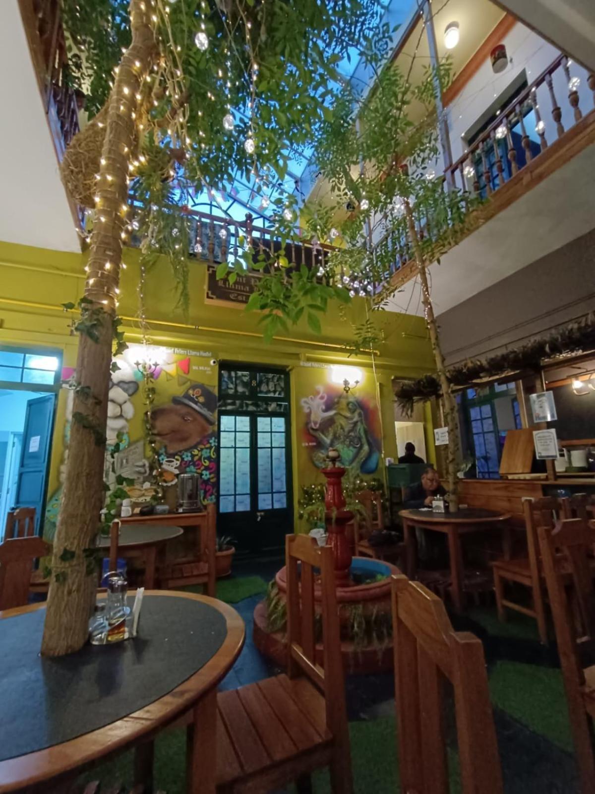 Saint Peter'S Llama Hostal La Paz Esterno foto